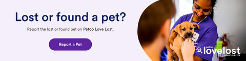 Banner-Lost or Found-970x242 (1)