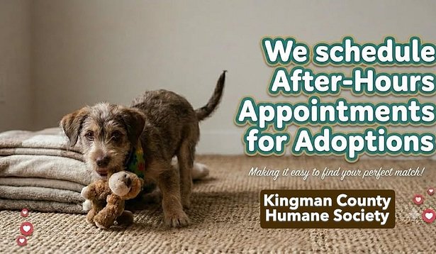 Schedule An Adoption Visit